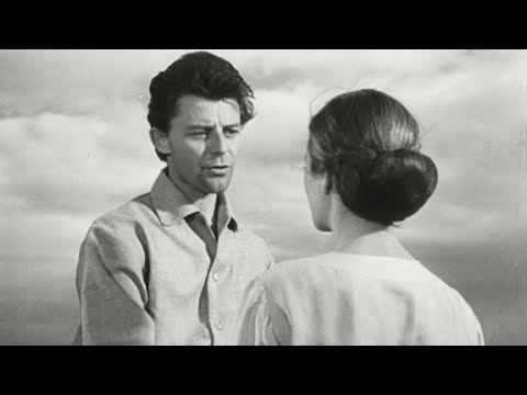 Les Amants de Montparnasse'