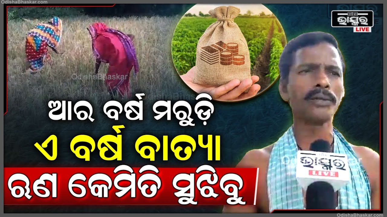 ପାଗକୁଦେଖି ଡର ଲାଗିଲାଣି..ଅମଳ ସମୟରେ ବାତ୍ୟା..ଧାନ ସବୁ ନଷ୍ଟ ହୋଇଯିବ..ଋଣ କେମିତି ସୁଝିବୁ ସେନେଇ ଚିନ୍ତା