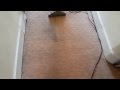 Professional Carpet Cleaning heavy used communal area 1
