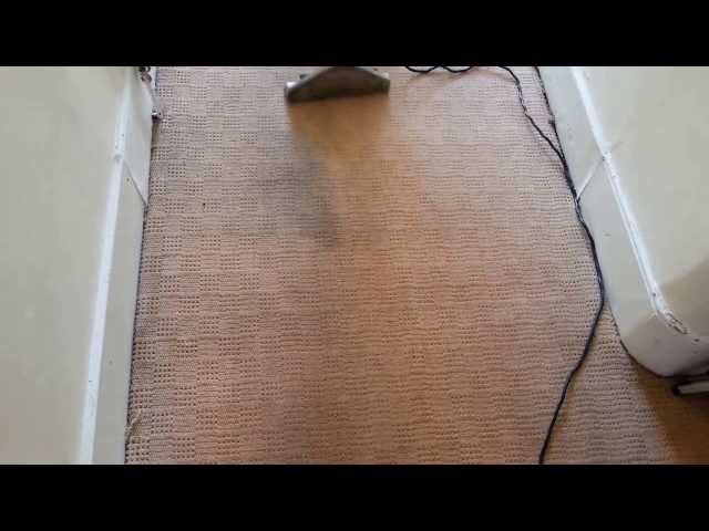 Professional Carpet Cleaning heavy used communal area 1