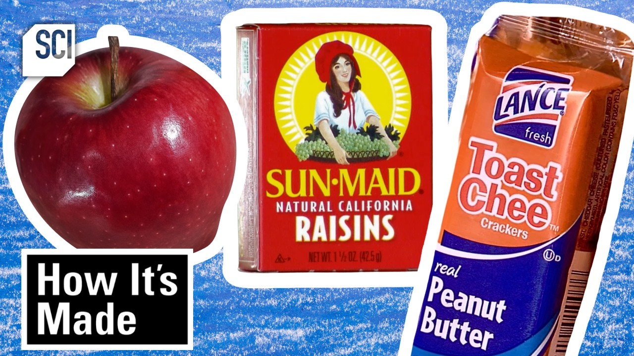Back to School Lunch Snacks 🎒How It's Made | Science Channel