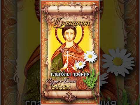 22 июля Мч. Михаил сновидец, ученик свт. Феодора Едесского (IX век)