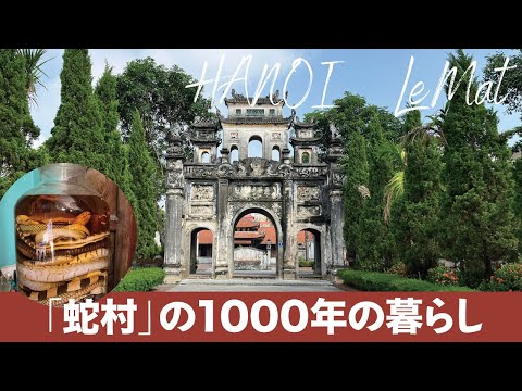 【ハノイ／観光】蛇と共に生きる。「蛇村」の1000年の暮らし