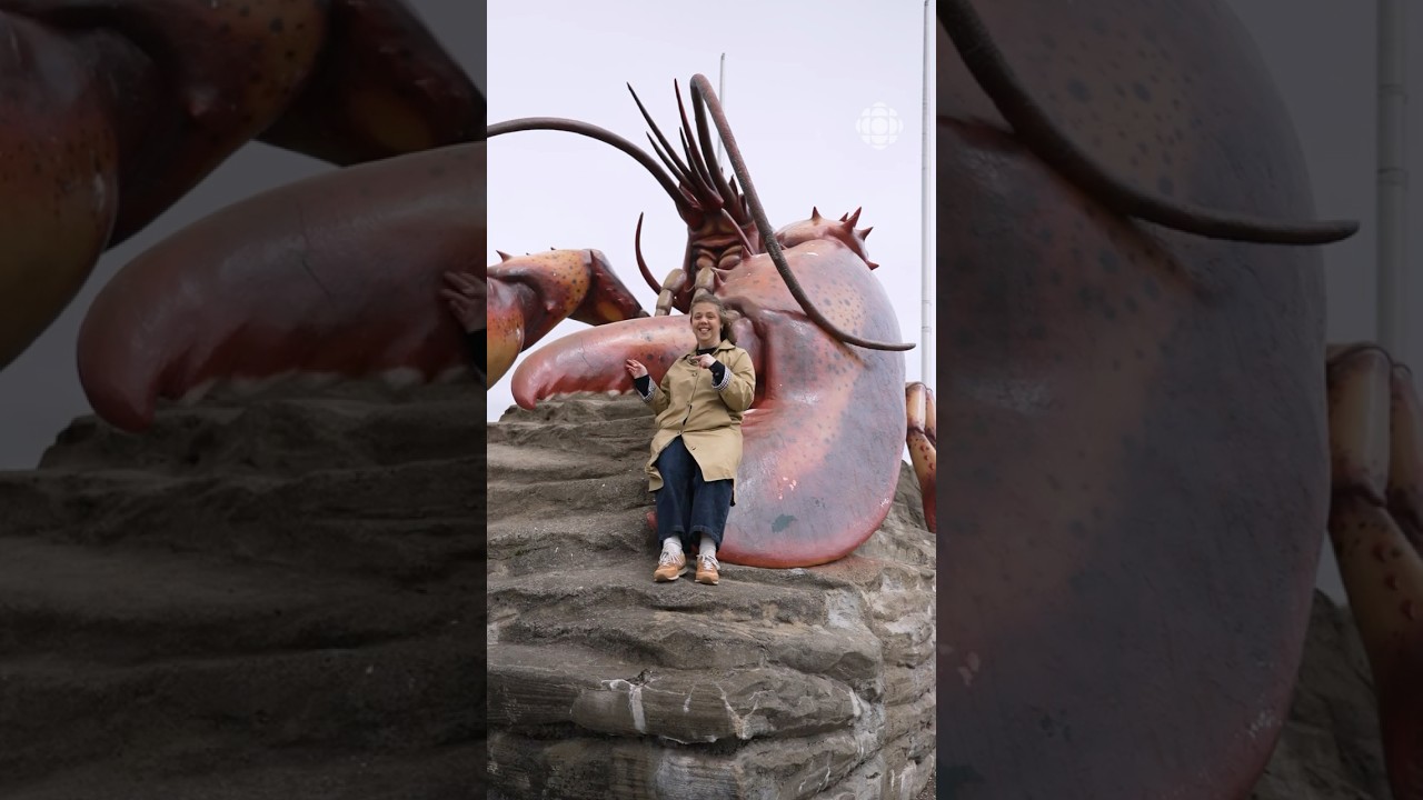 Pourquoi le #homard est-il si cher?