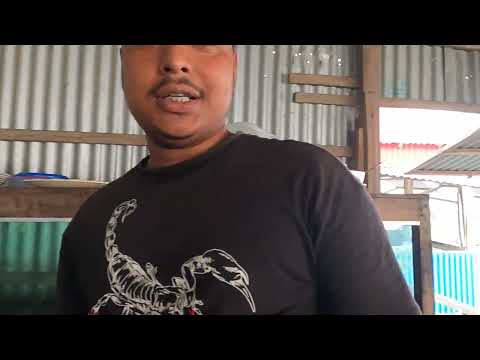 🛶 ঢাকার কাছে একদিনের ট্যুর – মৈনট ঘাট ভ্রমণ গাইড🛶