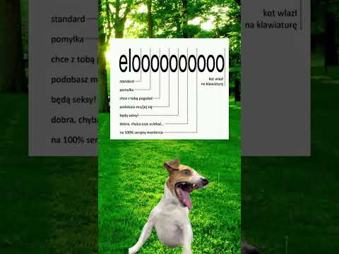 Test osobowości na podstawie ‘elo’ #shorts #memy #śmieszne #humor