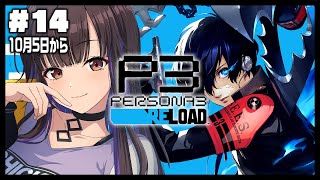 #14【 ペルソナ3 リロード /P3R 】初見プレイ 10月5日～改めて考えさせられるこの特別課外活動部 ネタバレあり【 星羽こはく 】