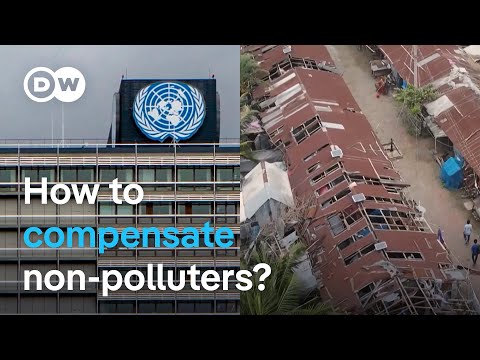 Climate talks focus on developing countries ahead of UN summit | DW News