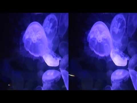 Glowing Jellyfish 3D (YT3D:Enable=True)