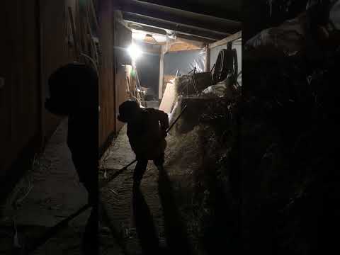 Відео яке НЕ ДИВЛЯТЬСЯ 😓🔥💫 17 лютого 2025 р.