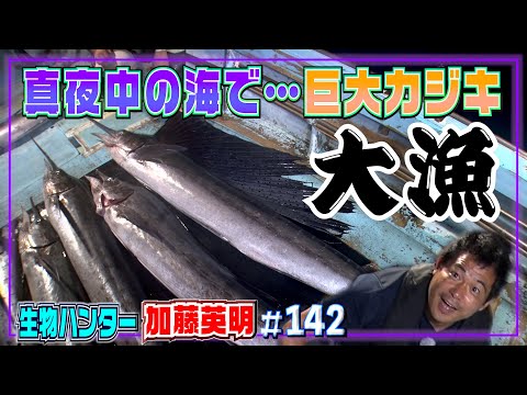 今が旬！鹿児島秋の風物詩”巨大カジキ”漁でまさかの大漁！？≫生物ハンター加藤英明・Japan wild hunter