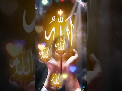 #islamicstatus #allah #muhammad #tranding #ytshorts