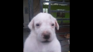 Reaccionarium love ♥