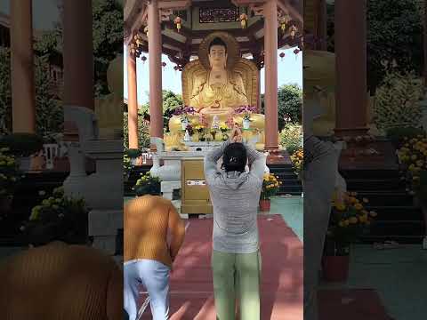 NIỆM PHẬT KHÔNG CHỈ LÀ MỘT HÀNH ĐỘNG, MÀ CÒN LÀ MỘT HÀNH TRÌNH THỨC TỈNH