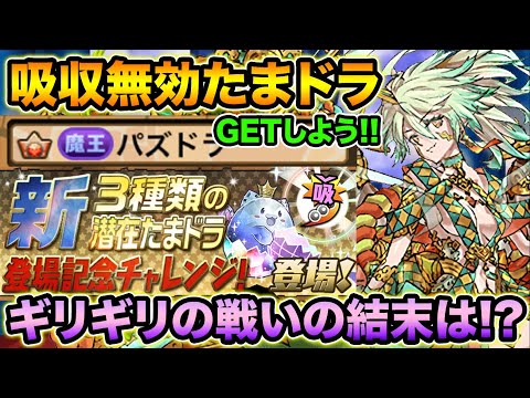 新潜在たまドラをGETせよ！制限時間5分の1度きりチャレンジに挑む！まさかのタイムに焦りまくり！【スー☆パズドラ 】