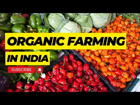 Organic Farming in India | जैविक खेती  #organic #organicfarming #agriculture