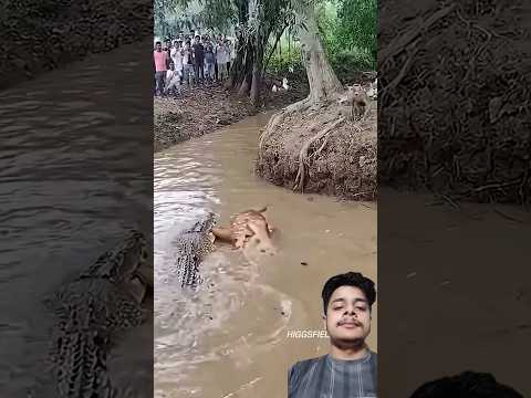 Mind-blowing Gadgets and tools Revealed 🚀 #short #Gadgets 168