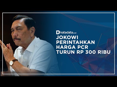 Luhut: Presiden Minta Harga PCR Diturunkan Menjadi Rp 300 Ribu I Katadata Indonesia