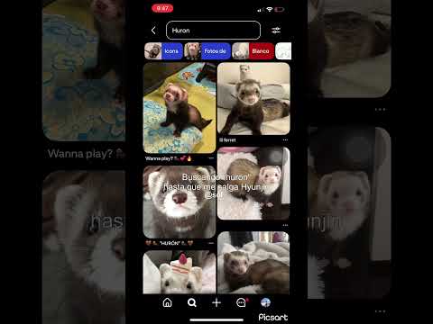 #HYUN: El es un hurón 💗 #straykids #hyunjin #fypシ #viral #youtubeshorts #kpopgrupo