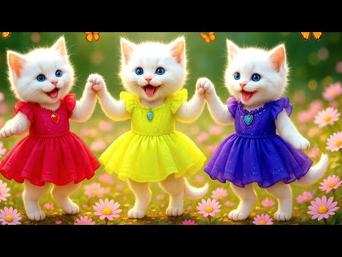 बिल्ली  डांस,💃| Cutest Cat videos funny dance 🤣 💃 Videos for cats #funny #dancingcat #cat #kitten