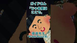 【蝶美的越南一人行】親身經歷的恐怖故事...😭 #shorts #千代浦蝶美 #vtuber中文 #あおぎり高校