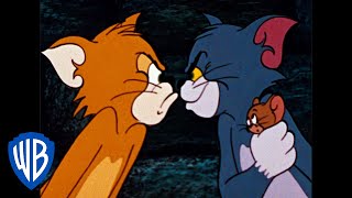 Tom a Jerry - Změna psa na kočku