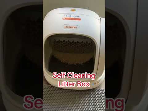 Stop cleaning cat litter. #cat #cats #catlover #fok