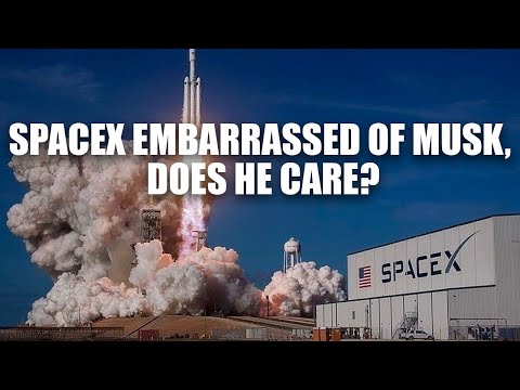 SpaceX Employees Want Musk Out, SpaceX Fired Them Instead By @Natly Denise