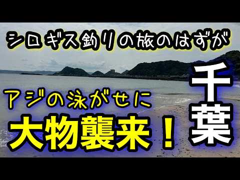 泳がせたアジに食い付いた⁉シロギスから釣り歩く千葉旅vol２盛りだくさんの居酒屋になりました！2025.6