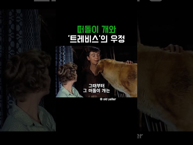 떠돌이 개와 '트레비스'의 우정