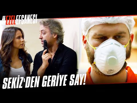 Avcı Ali Sekiz'in Kokusunu Takip Ediyor | Ezel