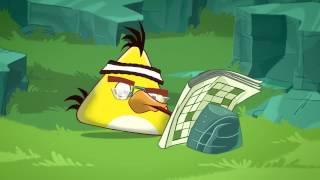 Angry Birds Toons  #1 - Chuckov as