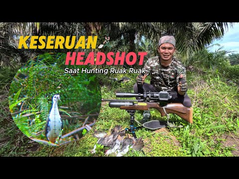 The Excitement of Headshot Hunting Ruak Ruak