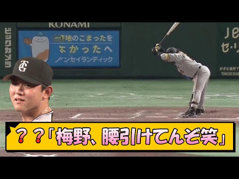 【阪神】？？「梅野、腰引けてんぞ笑」【なんJ/2ch/5ch/ネット 反応 まとめ/阪神タイガース/岡田監督】