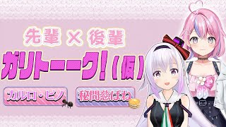 【ピノ先輩🐜に後輩ぱね🥞が切り込み✨】先輩×後輩 ガリトーーク!(仮)【2024/12/6】