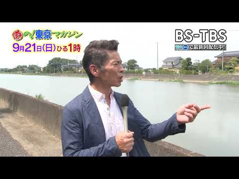 9/21(日)午後1時～【噂の！東京マガジン】絶品イワシの梅煮を伝授！外来植物、被害の実態とは…