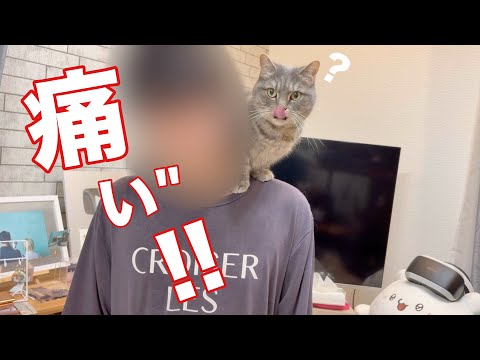 猫の動画サムネイル - ジャンプ！爪が長いのがバレた猫はもちろん...ね？