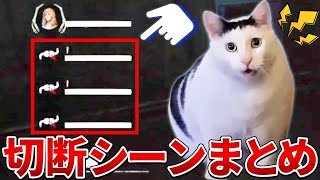 【DBD】 5年間で遭遇した切断シーンまとめ #dbdmemes #dbd #deadbydaylight #デッドバイデイライト #dbd