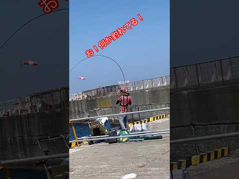 熱海 釣り🎣#熱海#fishing#japan#釣り#魚釣り#魚#海釣り#海#チヌ#ダンゴ釣り#メジナ#釣り動画