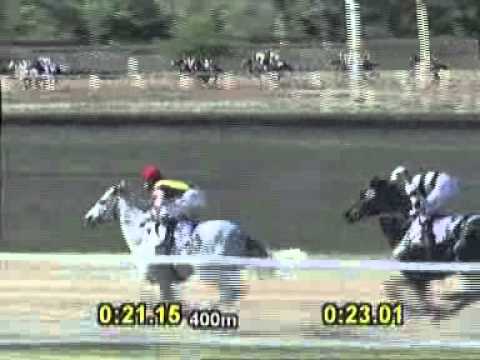 Vidéo de la course PMU GRAN PREMIO HIPODROMO DE PALERMO