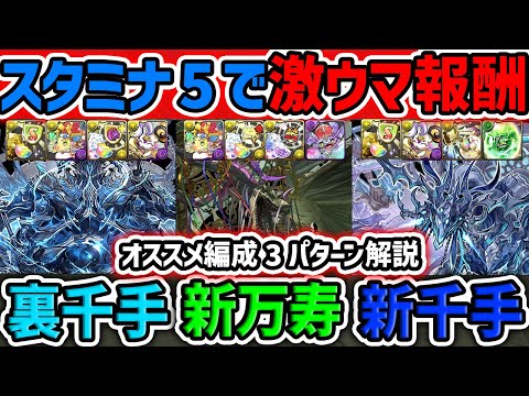 【人権イベ】スタミナ5で周回！激ウマ編成3パターン解説！新千手,新万寿,裏千手,キコル編成！【パズドラ】のサムネイル