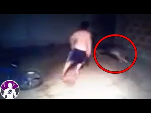 4 Vídeos Que Te Dejarán Pensando Toda La Noche