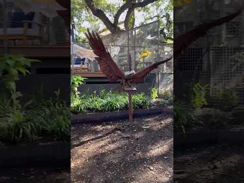 Vidéo de l’hébergement