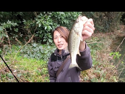 Glow Fishing 九州バス釣りtvの最新動画 Youtubeランキング