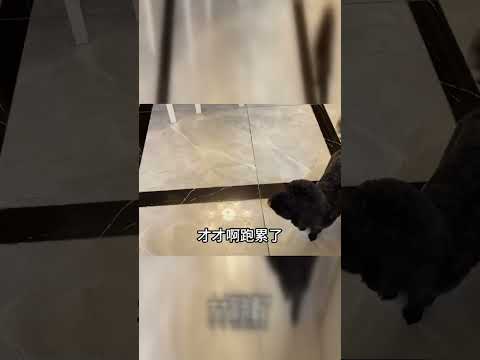 家庭的温馨时光