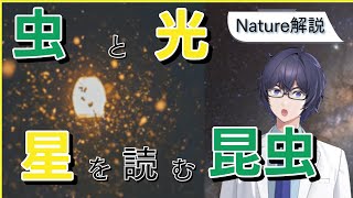 夜空と虫のヒミツ：ライトに集まる理由と昆虫の星読み #たかとー研究室