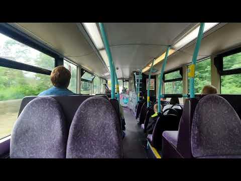 and More Bus Videos