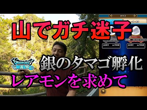 ドラクエウォーク249【金が無いから銀のタマゴ孵化させる！夢を抱いて山中に向かった勇者様は迷子になる！そして生まれたモンスターは？】