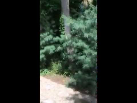 Vidéo de l’hébergement