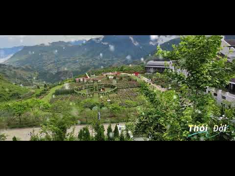 ca sỹ không chuyên